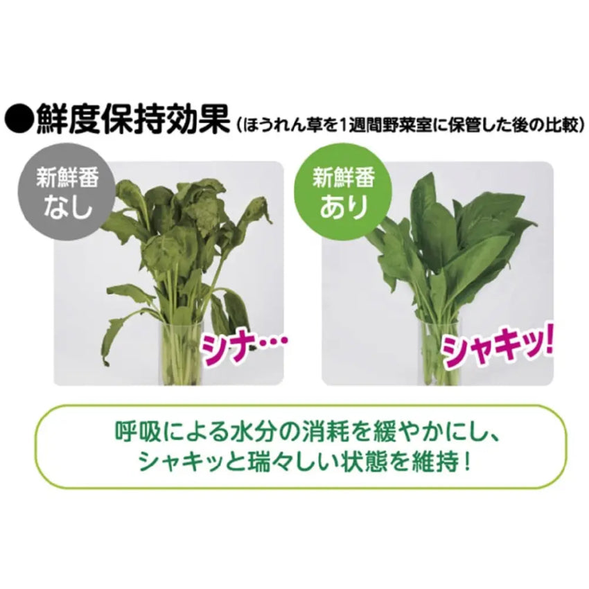 日本製 雞仔牌新鮮番 蔬菜保鮮|圖片 4