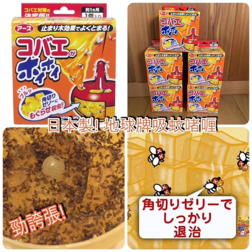 日本製 EARTH 製藥 小飛蟲/果蠅 誘捕啫喱