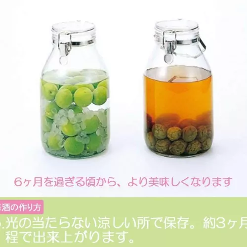 [現貨] 日本製造 星硝 CellarMate 玻璃蓋密封保存容器